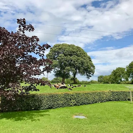 Holiday home Dan Rua's Cavan