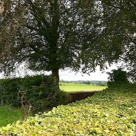Dan Rua's Nyaraló Cavan