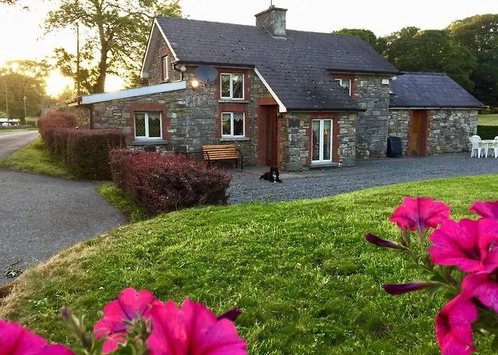 Hébergement de vacances Dan Rua's *