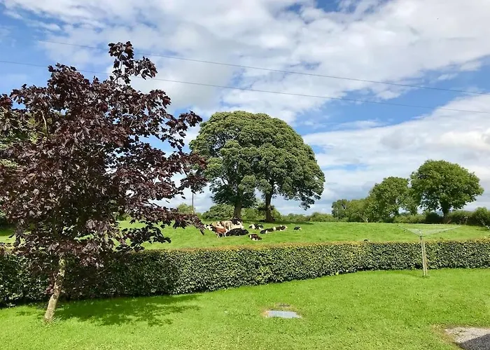 Hébergement de vacances Dan Rua's Cavan