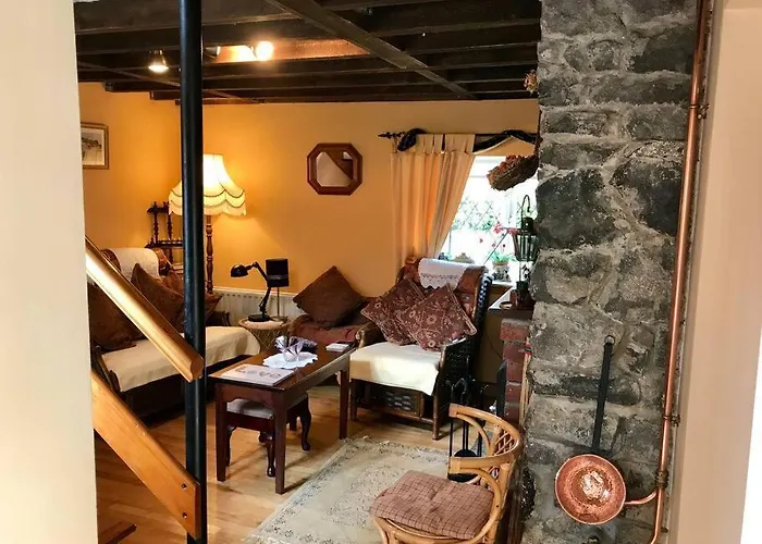 Dan Rua's
